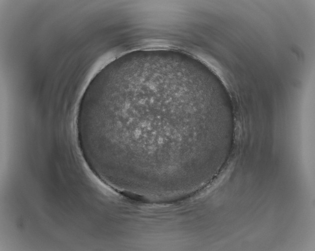 X0000112471475200908241222