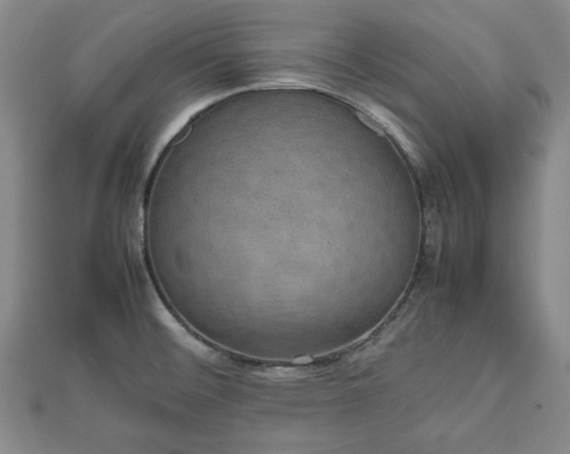 X0000112471476200908241222