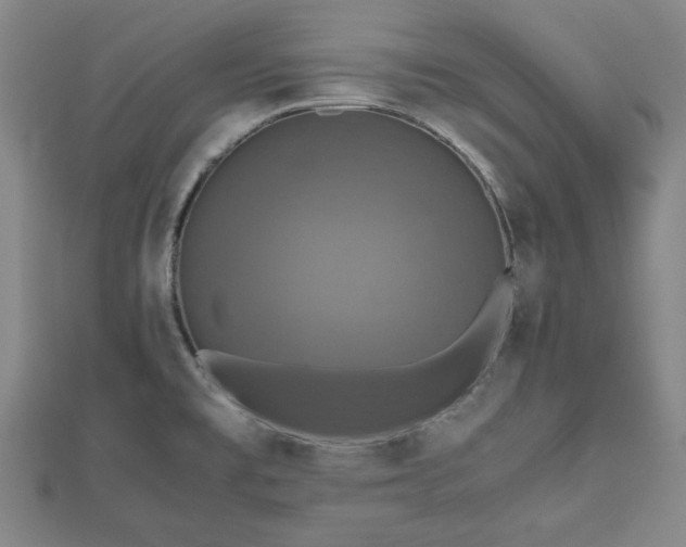 X0000112471477200908241222