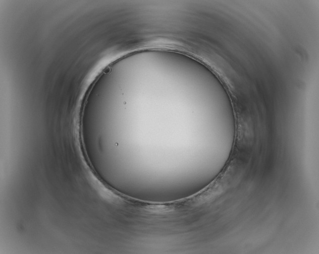 X0000112471478200908241222