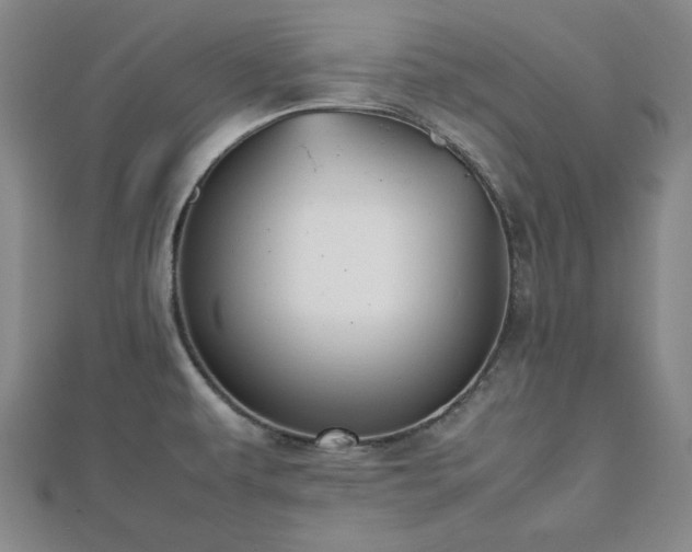 X0000112471479200908241222