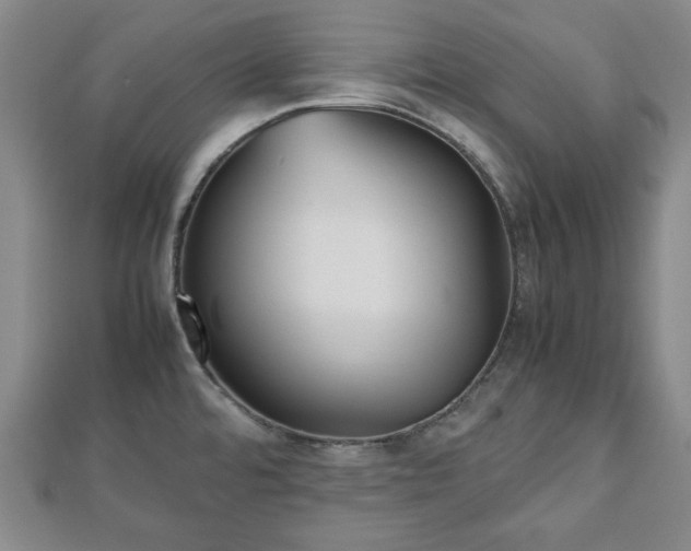 X0000112471480200908241222