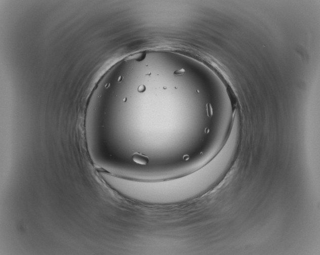 X0000112471481200908241222