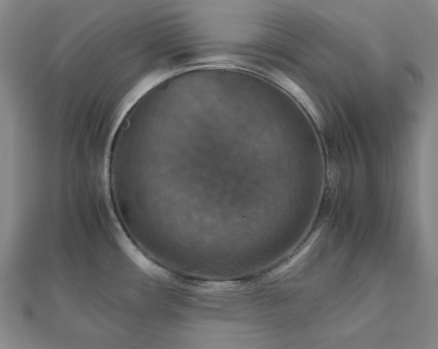 X0000112471482200908241222