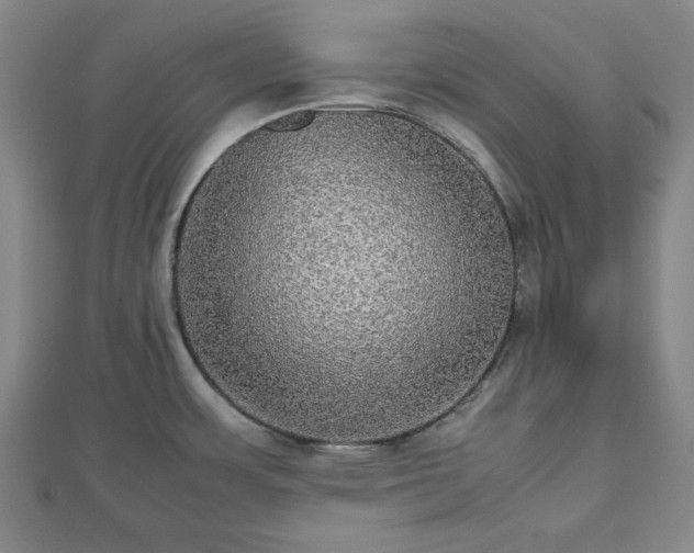 X0000112471483200908241222