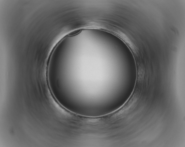 X0000112471484200908241222