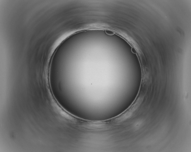 X0000112471486200908241222