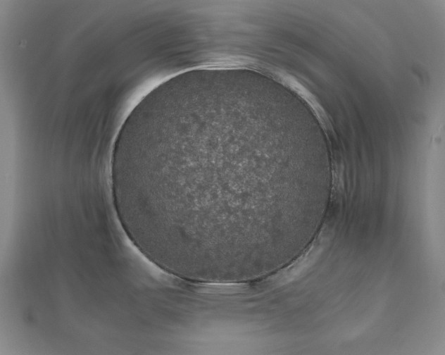 X0000112471487200908241222