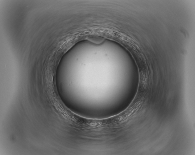 X0000112471489200908241221