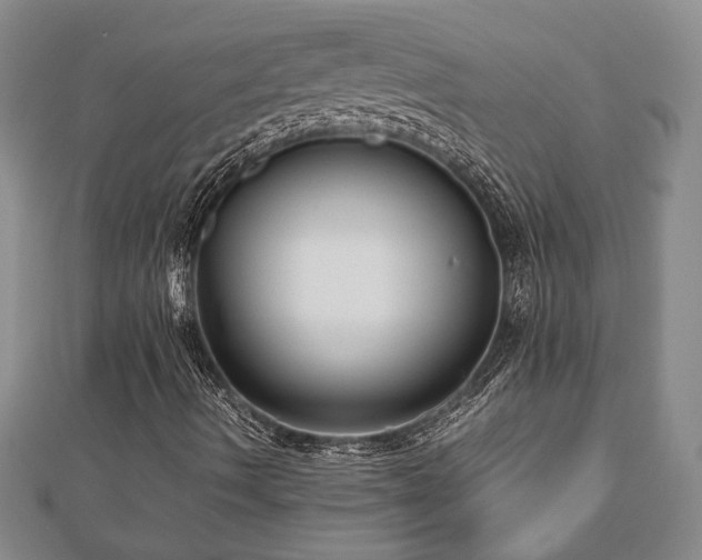 X0000112471490200908241221