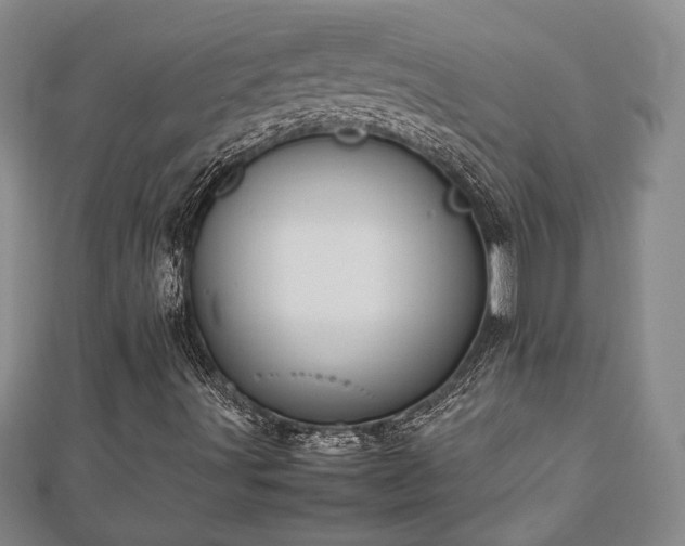 X0000112471491200908241221