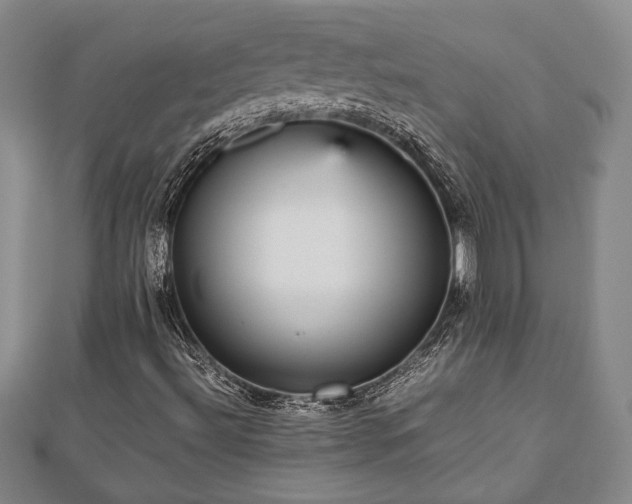 X0000112471492200908241221