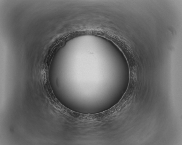 X0000112471493200908241221