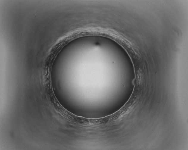 X0000112471494200908241221