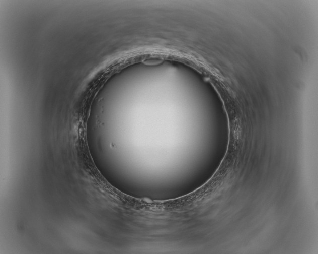 X0000112471495200908241221