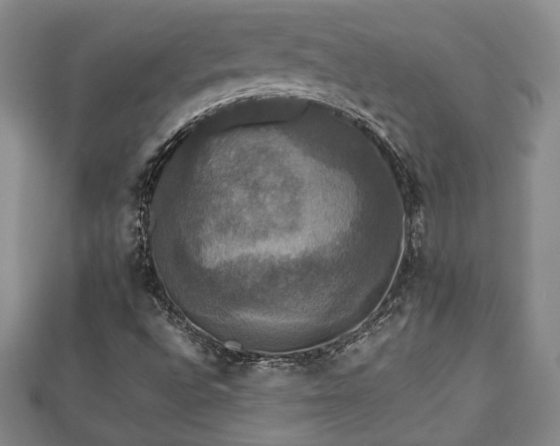 X0000112471496200908241221