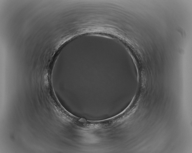 X0000112471497200908241221