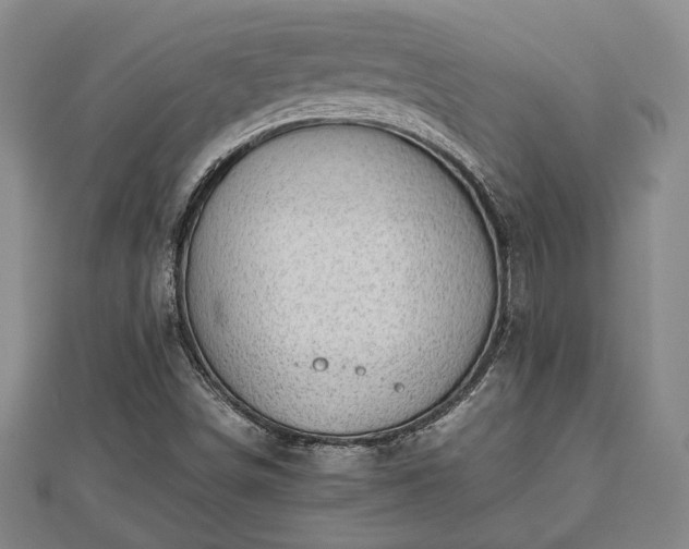 X0000112471498200908241221