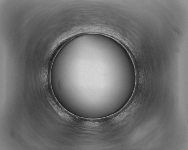 X0000112471499200908241221