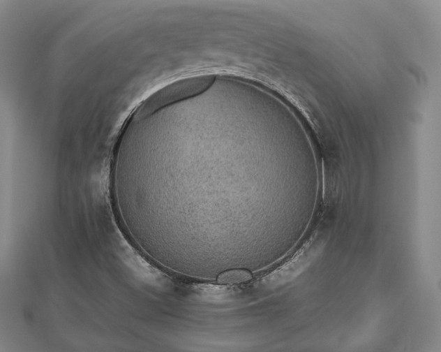 X0000112471500200908241222