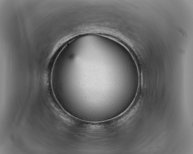 X0000112471501200908241222