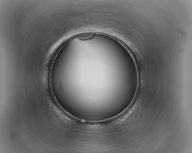 X0000112471502200908241222