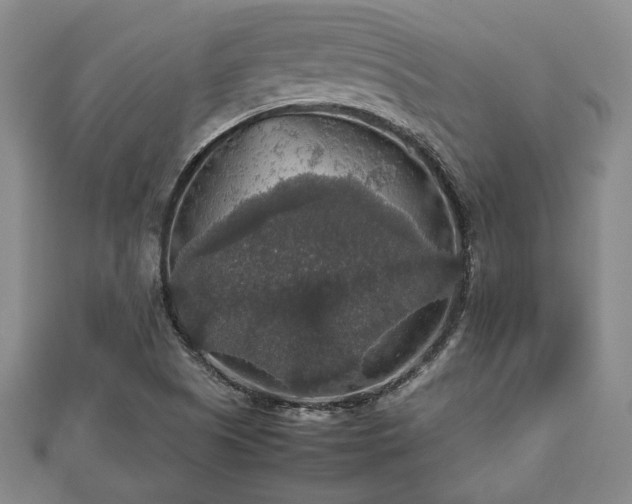 X0000112471505200908241222