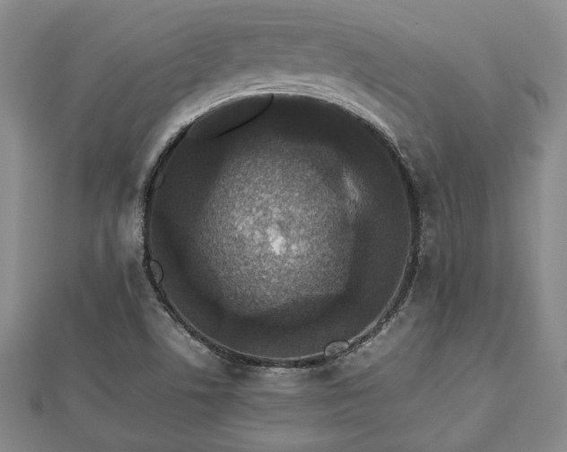 X0000112471506200908241222