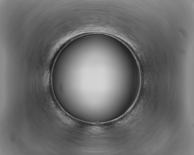 X0000112471507200908241222