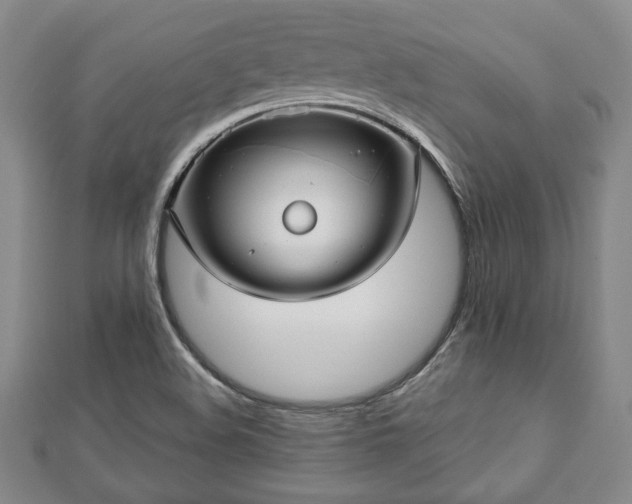 X0000112471508200908241222