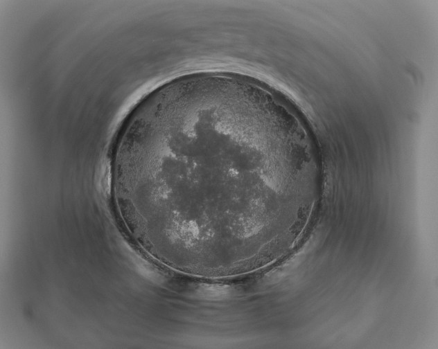 X0000112471509200908241222