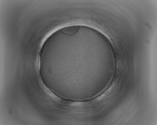 X0000112471510200908241222