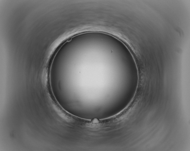 X0000112471511200908241222