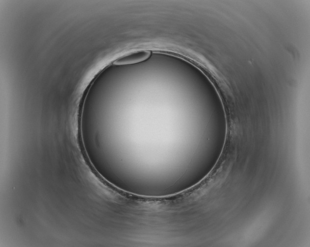 X0000112471512200908241222