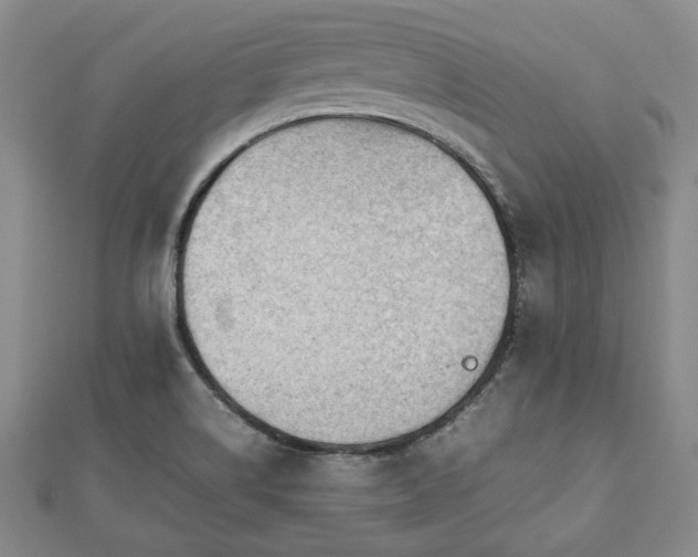 X0000112471514200908241222