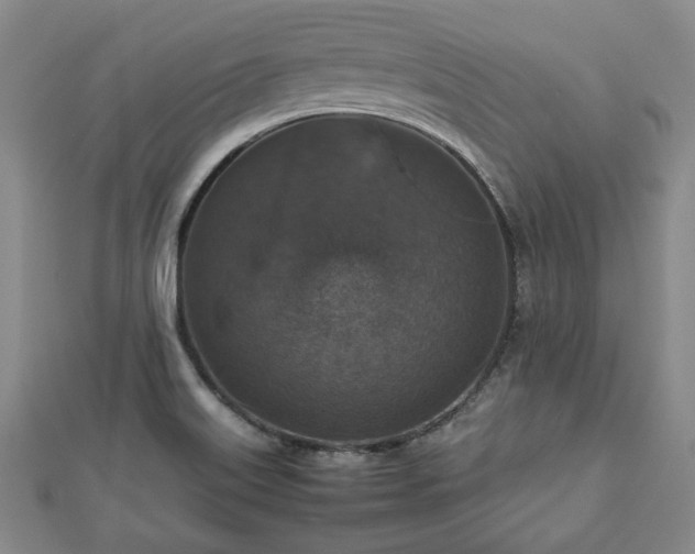 X0000112471515200908241222