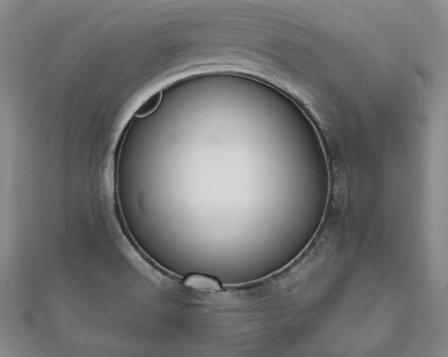 X0000112471516200908241222