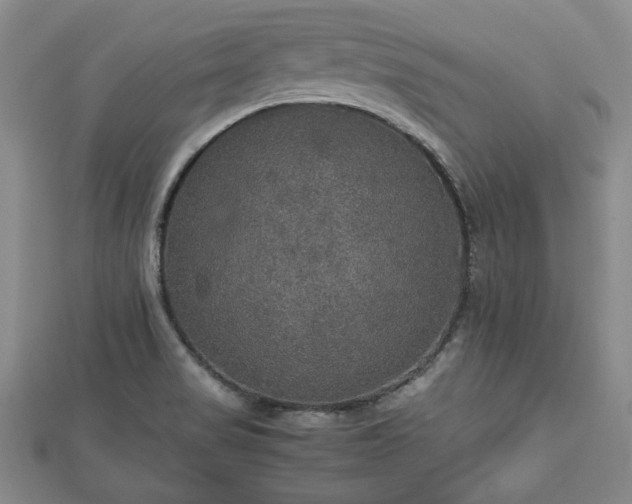 X0000112471517200908241222