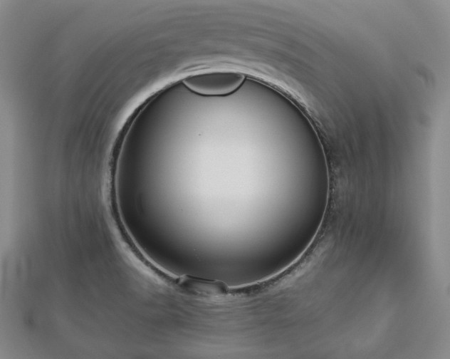 X0000112471518200908241222