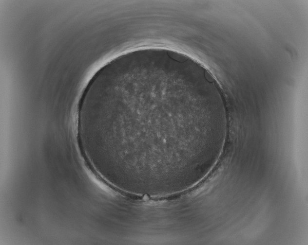 X0000112471519200908241222