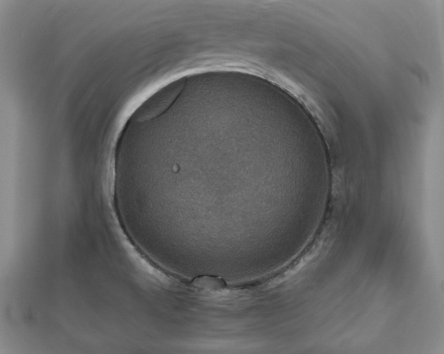 X0000112471520200908241222