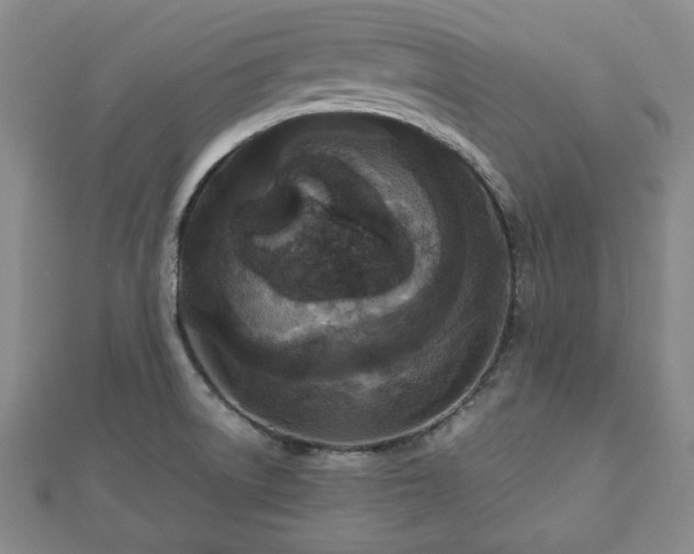 X0000112471522200908241222