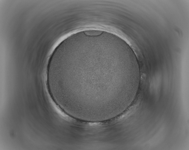 X0000112471523200908241222