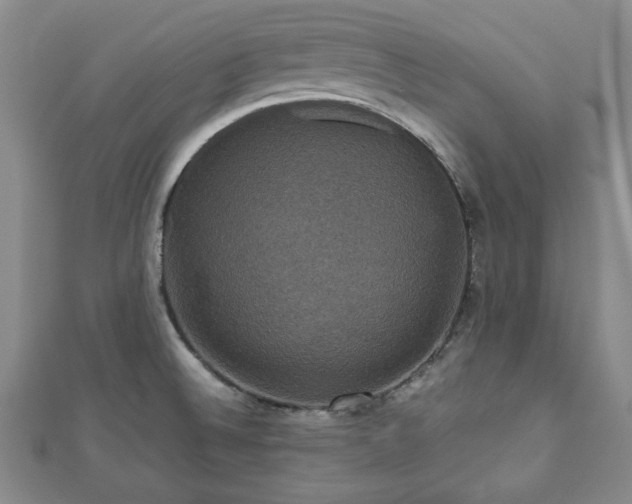 X0000112471524200908241222