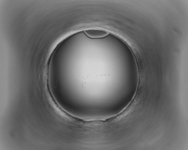 X0000112471526200908241222