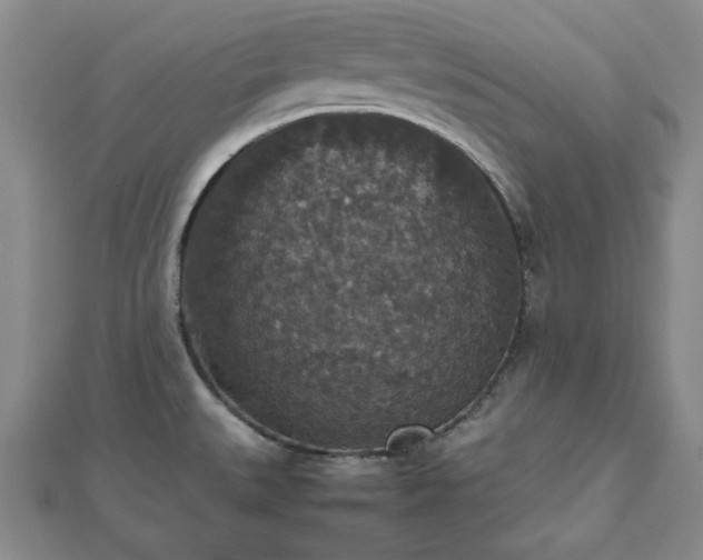 X0000112471527200908241222