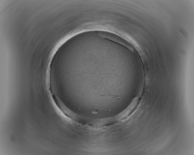 X0000112471528200908241222