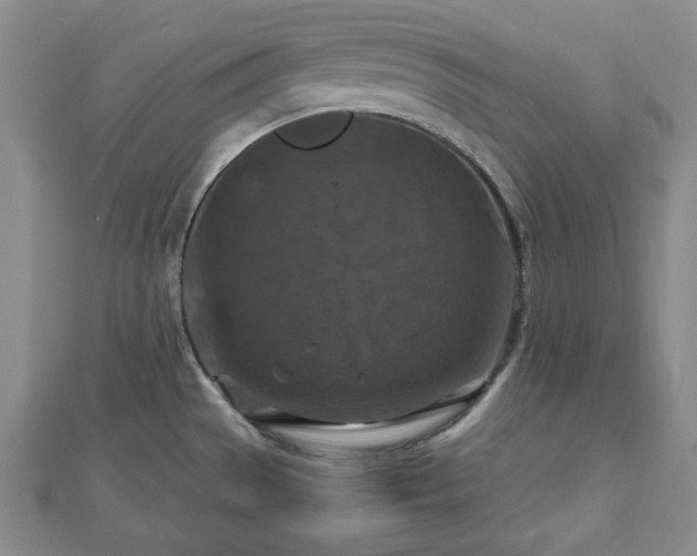 X0000112471529200908241222