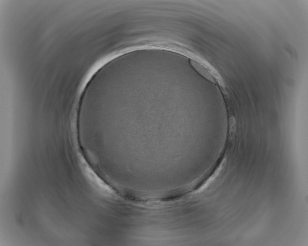 X0000112471530200908241222