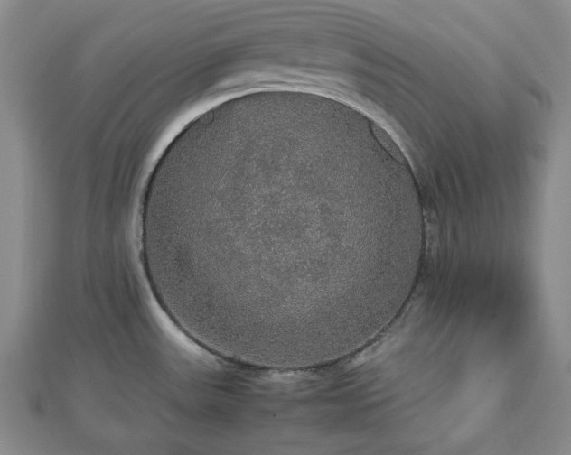 X0000112471531200908241222